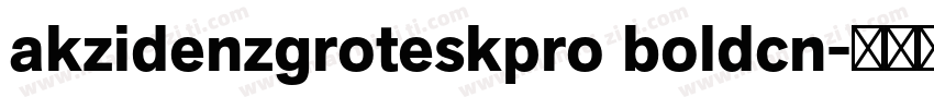 akzidenzgroteskpro boldcn字体转换